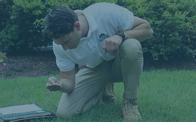 CALL-IN DAY – Successful Lawn Care Operators