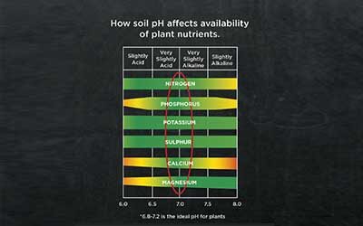 Liming/soil pH